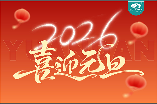 董事长周芳女士新年献词：心有定力，沐光而行