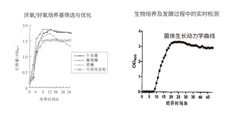 过程安全，结果精准