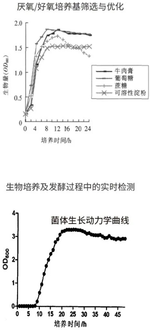 过程安全，结果精准